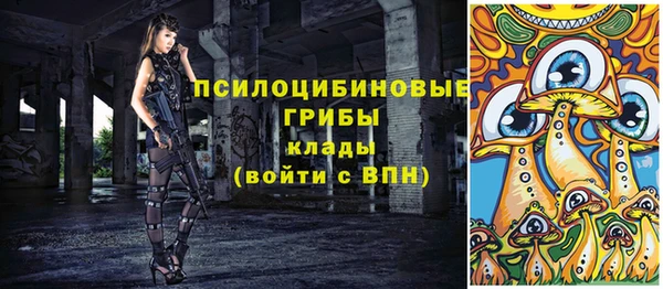 a pvp Алзамай