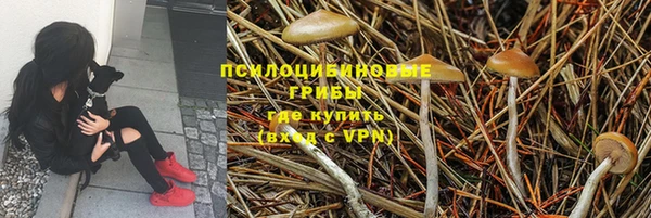 a pvp Алзамай